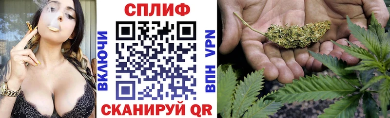 Каннабис ГИДРОПОН  Купить  Лениногорск 